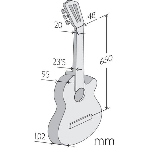 Alhambra Acustica CSs-3 CW E9 CrossOver