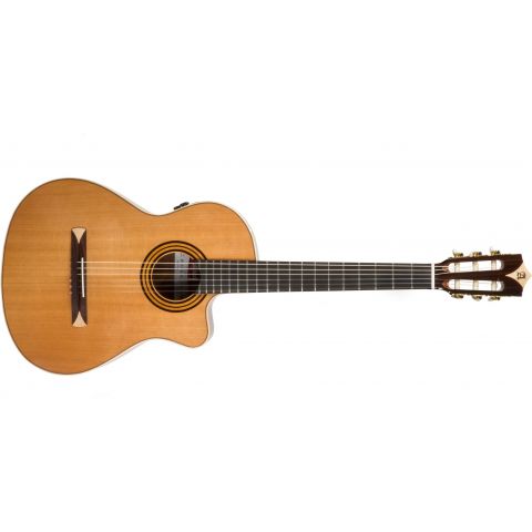 Alhambra CS-1-CW electrificada Fishmann E2