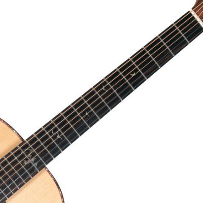 Washburn Bella Tono Elegante S24S Gloss Natural Guitarra Acústica