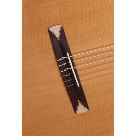 Alhambra CS-1 CW ELECTRIFICADA FISHMAN E1+ Funda 9738 25mm