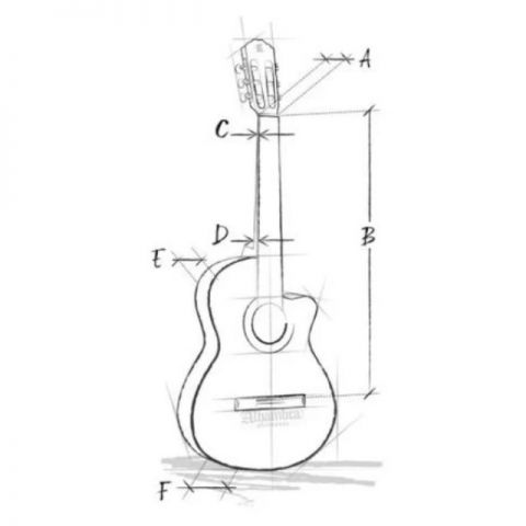 Alhambra CS-1 CW ELECTRIFICADA FISHMAN E1