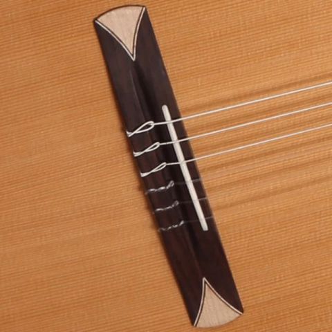 Alhambra CS-1 CW ELECTRIFICADA FISHMAN E1
