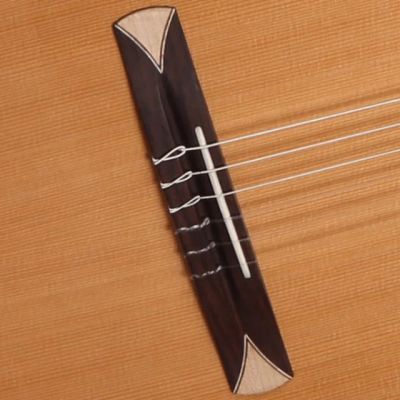 Alhambra CS-1 CW ELECTRIFICADA FISHMAN E1