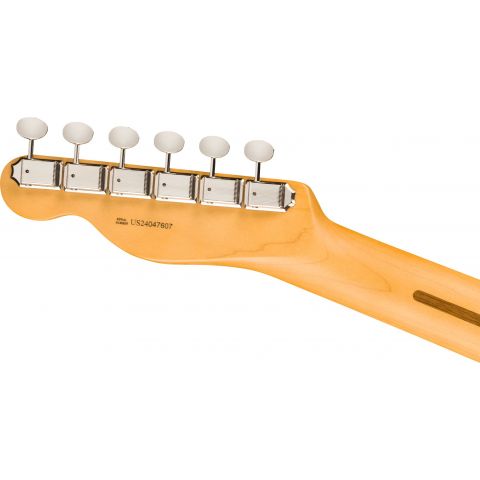 Fender American Professional Classic Telecaster RW Faded Black Guitarra Eléctrica