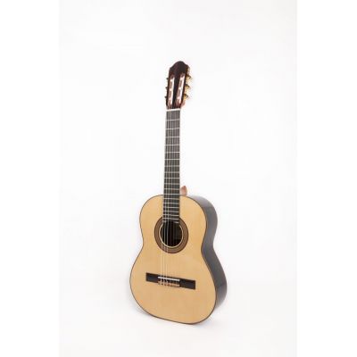 Requinto Raimundo 1495