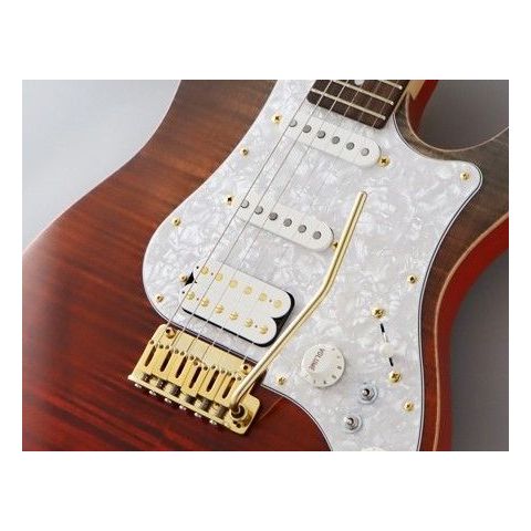 Fujigen Expert Odyssey Ripe Kaki Gradiation Guitarra Eléctrica