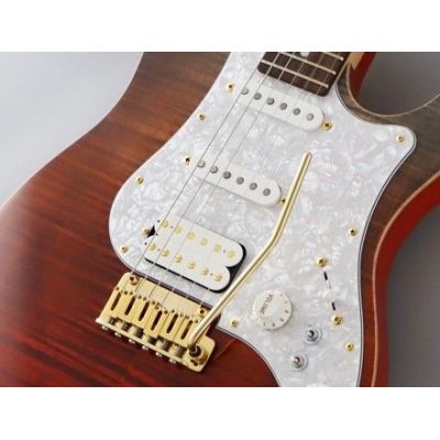 Fujigen Expert Odyssey Ripe Kaki Gradiation Guitarra Eléctrica