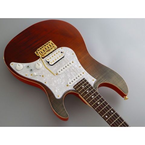 Fujigen Expert Odyssey Ripe Kaki Gradiation Guitarra Eléctrica