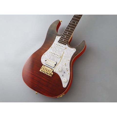 Fujigen Expert Odyssey Ripe Kaki Gradiation Guitarra Eléctrica