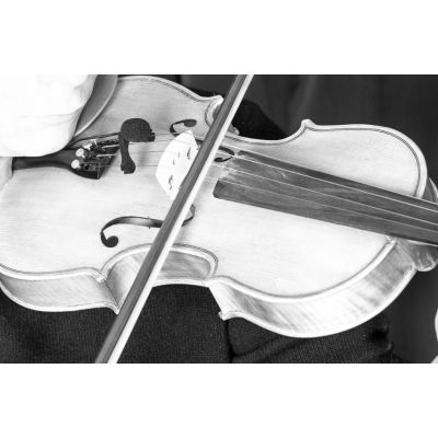 PRODIPE VL21C MICRÓFONO PARA VIOLINES Y VIOLAS
