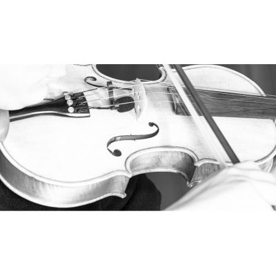 PRODIPE VL21C MICRÓFONO PARA VIOLINES Y VIOLAS
