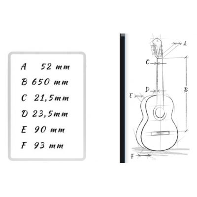 Alhambra 7FC Electrificada Fishman E2 C GOLPEADOR