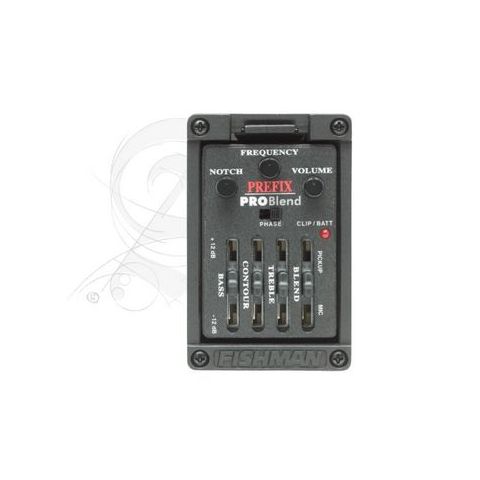 Alhambra 7FC Electrificada Fishman E2 C GOLPEADOR