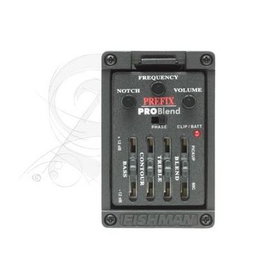 Alhambra 7FC Electrificada Fishman E2 C GOLPEADOR