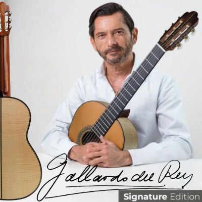 Antonio de Toledo José María Gallardo del Rey Arce Rizado Guitarra clásica