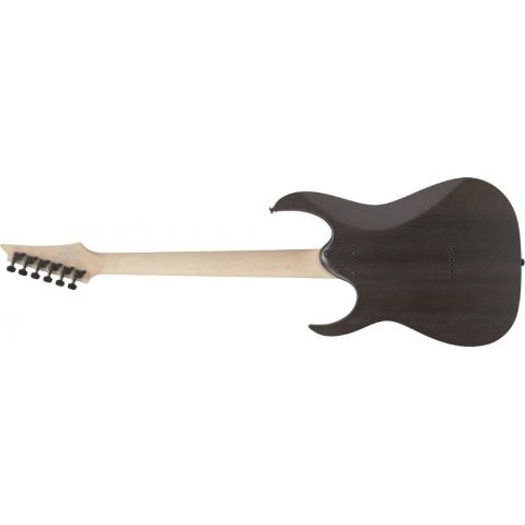 Ibanez RGR431PB-CGF Guitarra Eléctrica Charcoal Gray Flat