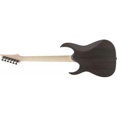 Ibanez RGR431PB-CGF Guitarra Eléctrica Charcoal Gray Flat