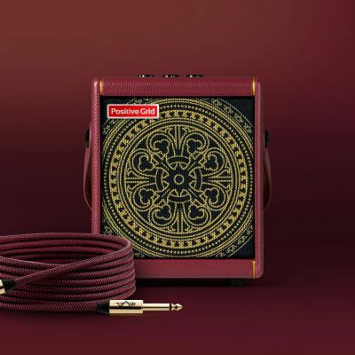 Positive Grid Spark MINI Vai Combo Guitarra Eléctrica