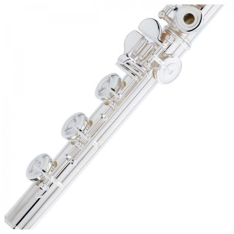 PEARL QUANTZ BREZZA B665RBE-HC CABEZA PLATA Y PATA DE SI Flauta Travesera