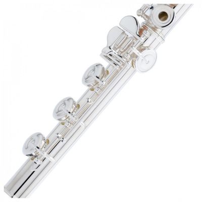 PEARL QUANTZ BREZZA B665RBE-HC CABEZA PLATA Y PATA DE SI Flauta Travesera