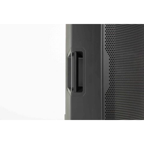 Alto Profesional TS 408 subgrave de 8" 2000W