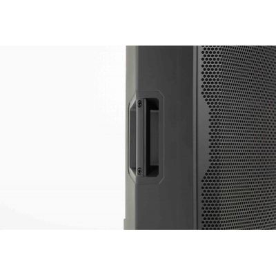 Alto Profesional TS 408 subgrave de 8" 2000W