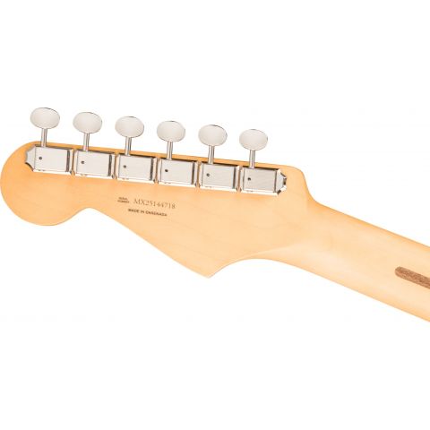Fender Player II Stratocaster HSS Cactus Gray Guitarra Eléctrica