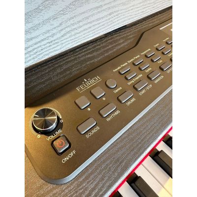 Feurich Olya Evo Black Piano digital Negro