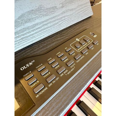 Feurich Olya Evo Black Piano digital Negro