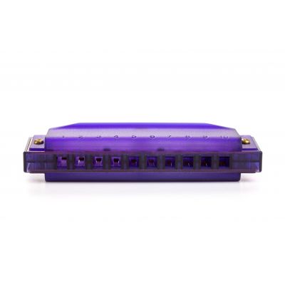 Hohner Traslucent Harp Purple Hardcase