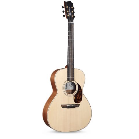 Alhambra 00-SSP E9 Electrificación Fishman Flex M Blend