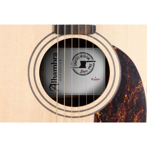 Alhambra 00-SSP E9 Electrificación Fishman Flex M Blend