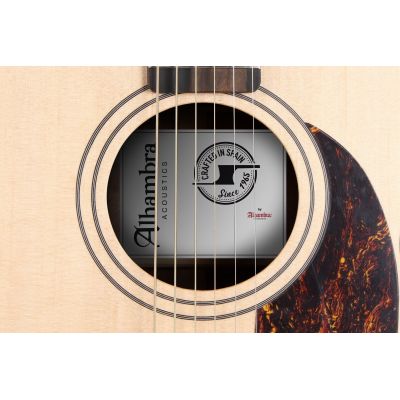 Alhambra 00-SSP E9 Electrificación Fishman Flex M Blend