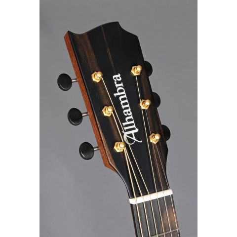 Alhambra 00-SSP E9 Electrificación Fishman Flex M Blend