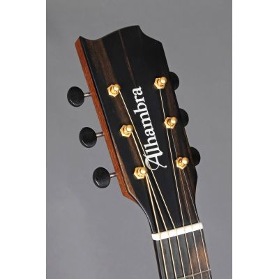 Alhambra 00-SSP E9 Electrificación Fishman Flex M Blend