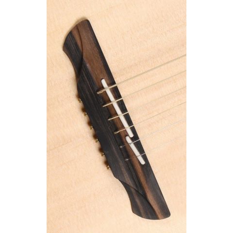 Alhambra 00-SSP E9 Electrificación Fishman Flex M Blend