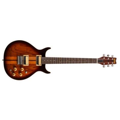 Washburn H10TS-U Wing Series Hawk Tobacco Burst Guitarra Eléctrica