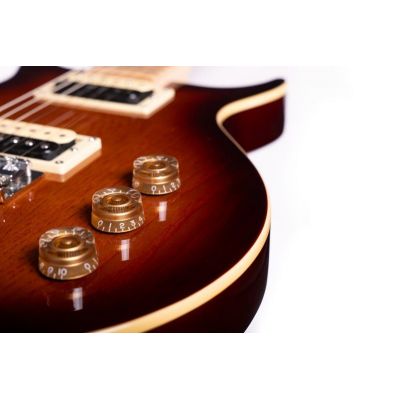 Washburn R5TS-U Raven ’78 Tobacco Burst Guitarra Eléctrica