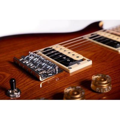 Washburn R5TS-U Raven ’78 Tobacco Burst Guitarra Eléctrica