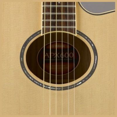 Yamaha Apx600 Natural
