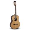 Guitarra Paco Castillo 203