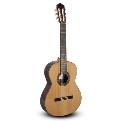 Guitarra Paco Castillo 203