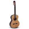 Guitarra Clásica Paco Castillo 204