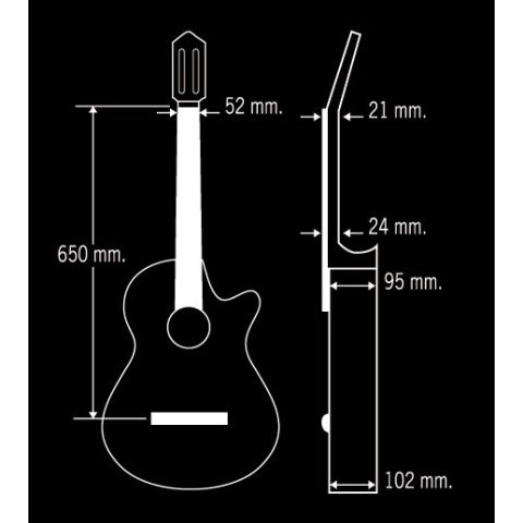 Guitarra Clásica Paco Castillo 224CE...