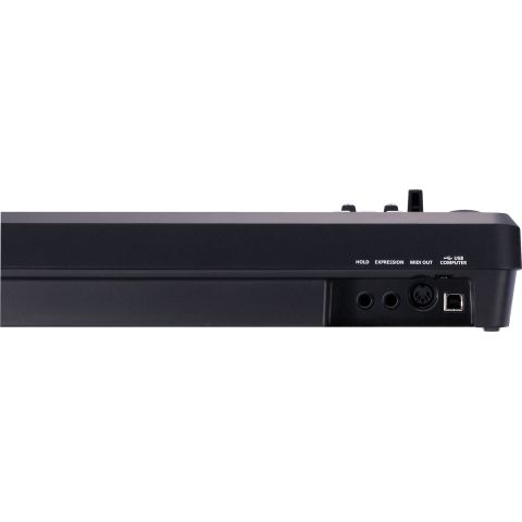 Roland A-49 Negro