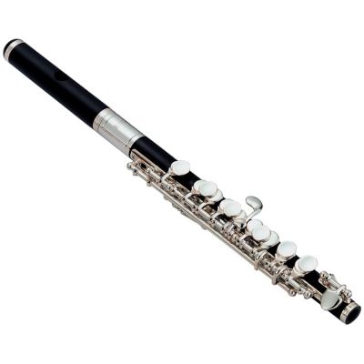 JUPITER JPC1010 FLAUTIN