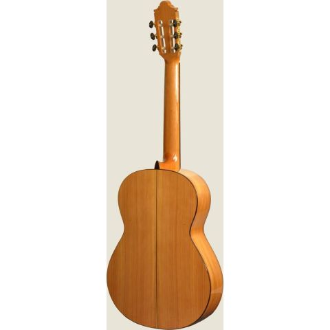 CAMPS  M 5 S