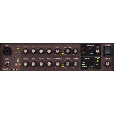 Boss ACS Acoustic Singer Live 60w