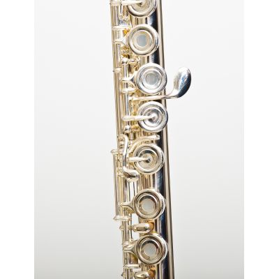 FLAUTA BRESSANT FL-450 CABEZA PLATA