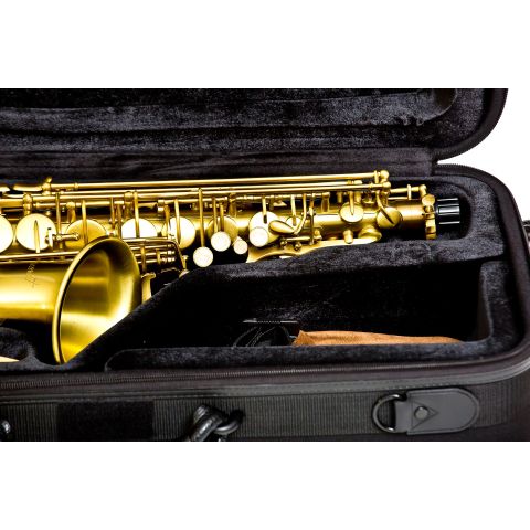 SAXO ALTO BRESSANT AS-202 ORO VIEJO